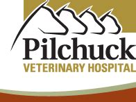 Pilchuck vet - Patricia Anderson. Four of my pets (cats) have been helped by Pilchuck Veterinary Hospital. They are patient with questions, provide clear answers and options, and are exceedingly gentle with my pets. Landed with them after a couple nightmare clinics at least 20 years ago and won't go anywhere else while I live here. 
